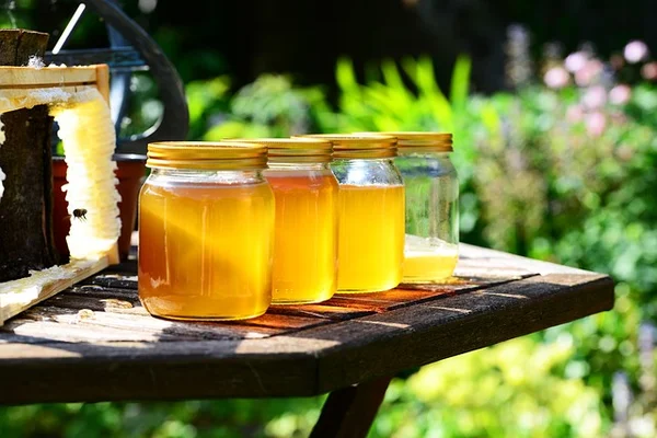 Conheça o mel de manuka, que promete ser o mais poderoso do mundo