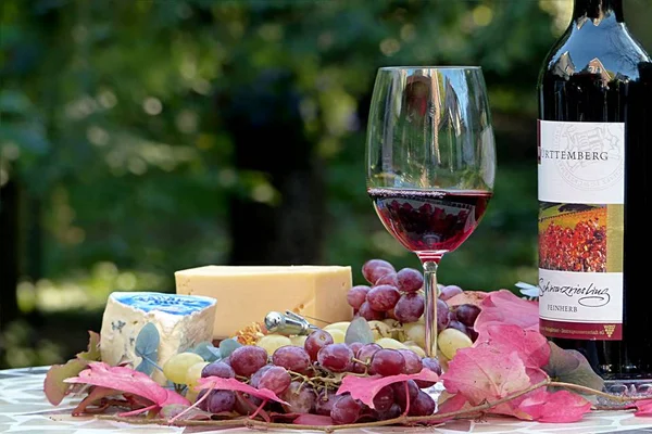 Consumir vinho com moderação pode ser um grande aliado da boa saúde