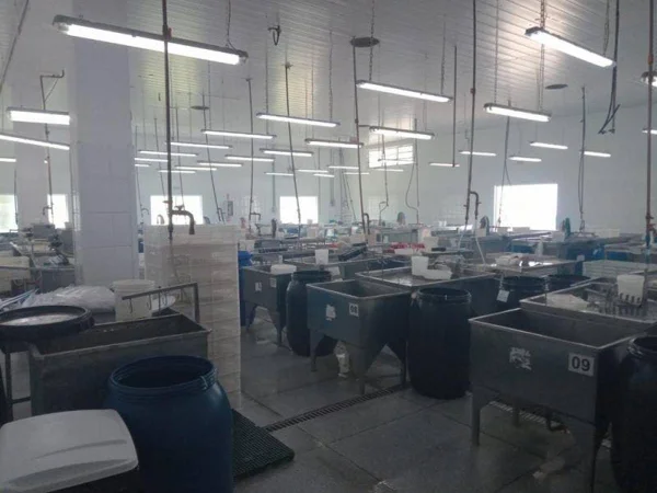 Vazamento de produto químico deixa 20 trabalhadores intoxicados em SC