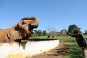 Cuidador joga fruta para elefante Cuidador joga fruta para elefante