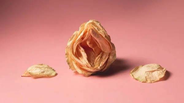 Não é menopausa! Saiba o que mais prejudica a vida sexual da mulher
