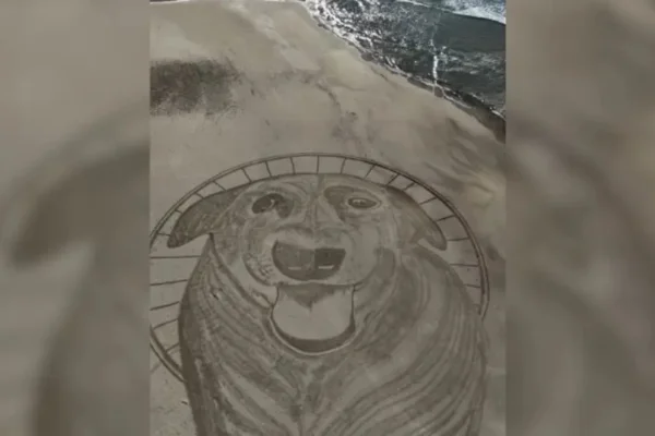 Desenho de 40 metros do cão Orelha em Florianópolis