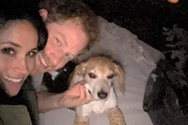 Foto colorida de um homem branco, uma mulher preta e um cachorro pequeno amarelo