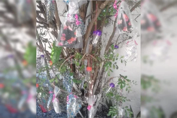 Mulher enfeita árvore com máscaras e álcool em gel em Belo Horizonte
