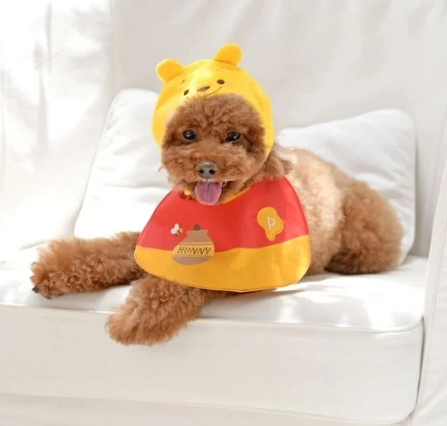 Os cachorrinhos merecem esses lindos babadores Os cachorrinhos merecem esses lindos babadores
