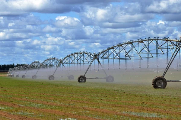 Número de agrotóxicos permitidos no Brasil aumentou 15% em nove meses