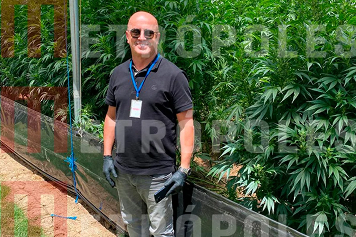Careca do INSS posa em frente a plantação de maconha