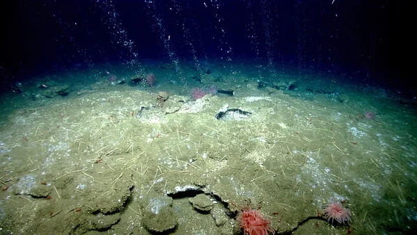 Foto colorida subaquática de bolhas de gás no fundo do mar - Metrópoles.