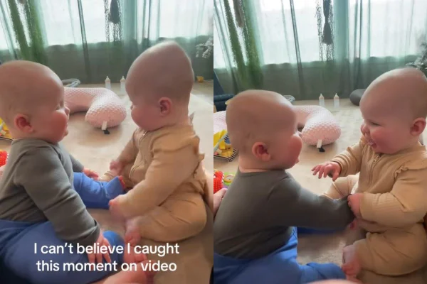 Montagem colorida com fotos de bebês gêmeos se olhando