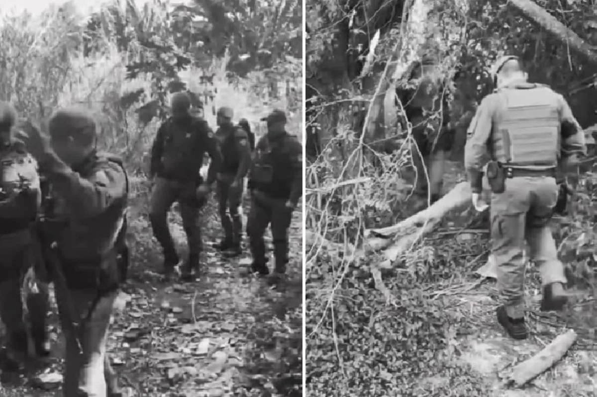 Corpo do empresário Marcelo de Almeida é encontrado às margens do Rio Cotia, entre Jandira e Carapicuíba Corpo do empresário Marcelo de Almeida é encontrado às margens do Rio Cotia, entre Jandira e Carapicuíba