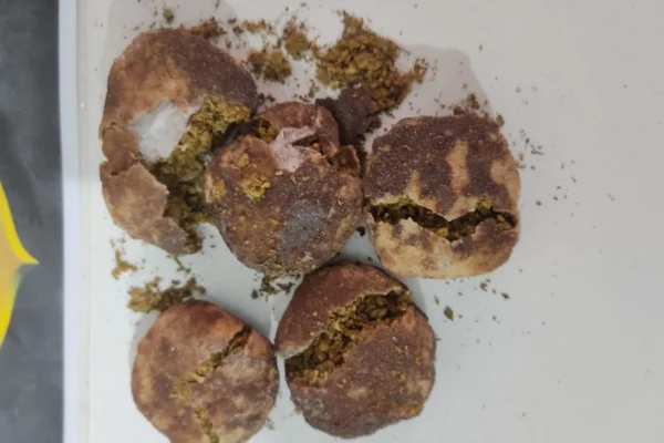 biscoito recheado com maconha presidio goias