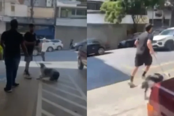 Homem foge de centro de adoção com filhote de border collie nos Jardins - Metrópoles