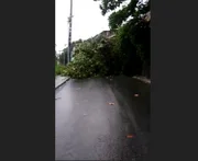 Chuva provoca queda de barreira e Bombeiros resgatam idoso em Maceió - imagem 2