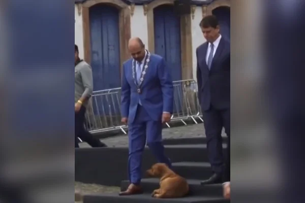 cachorro caramelo governadores