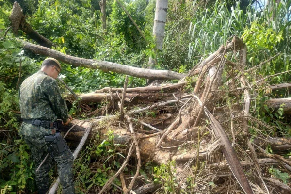 Imagem colorida de um homem vestido de farda policial verde em frente a uma área desmatada - Metrópoles
