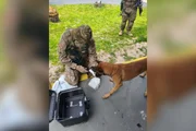 A Polícia Penal acompanhou e apoiou a operação desde as primeiras etapas das investigações, que tramitam sob sigilo A Polícia Penal acompanhou e apoiou a operação desde as primeiras etapas das investigações, que tramitam sob sigilo