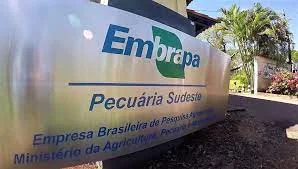 Embrapa