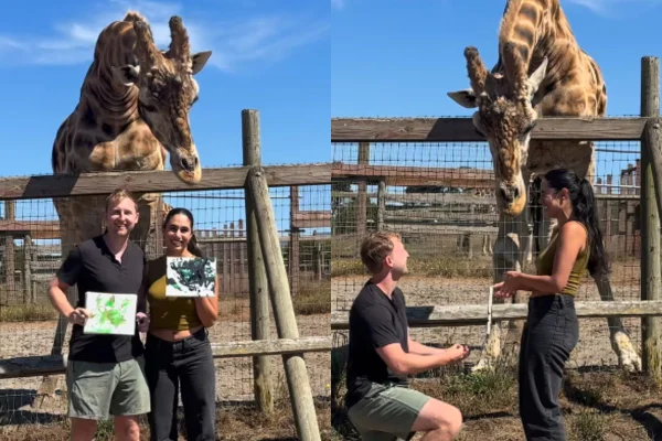 Foto colorida de um casal e uma girafa - Metrópoles