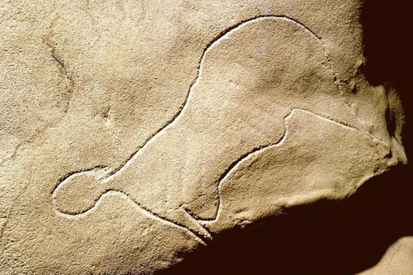 Imagem colorida de Caverna Cussac - Metrópoles