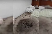 Estado da cama Estado da cama
