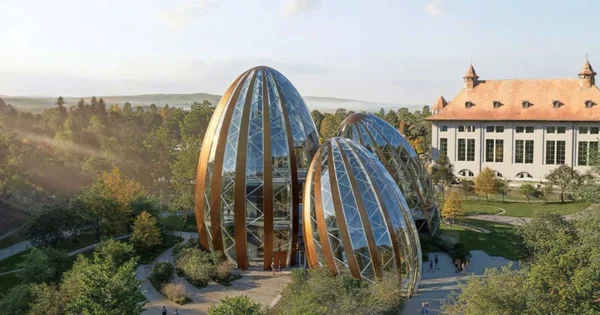 O projeto do Parc du Chocolat Cailler não é exatamente novidade. A ideia começou a ser desenhada em 2018 e foi apresentada oficialmente em 2022