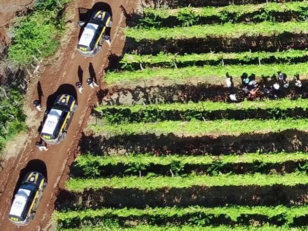 14 pessoas são resgatadas em situação análoga à escravidão na Paraíba