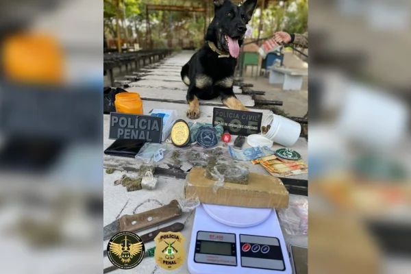 Reeducandos do sistema penal são autuados por tráfico de drogas no DF