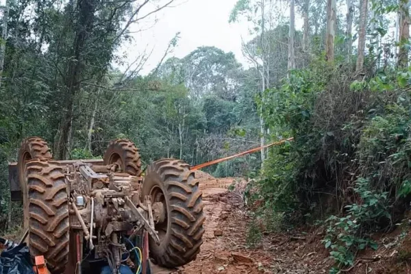 Imagem colorida: trator no meio de vegetação - Metrópoles