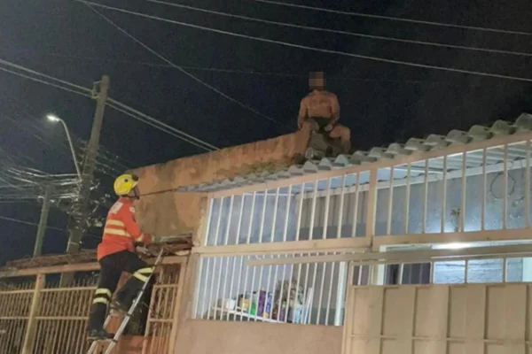 homem foge para o telhado após agredir os filhos