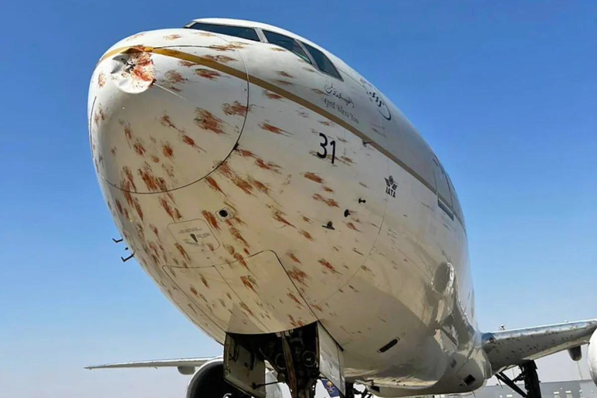 avião atinge pássaros na decolagem e fica coberto de sangue - Metrópoles