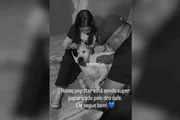 O animal entrou no imóvel enquanto os moradores dormiam e entrou em briga com o cachorro, que ficou gravemente ferido O animal entrou no imóvel enquanto os moradores dormiam e entrou em briga com o cachorro, que ficou gravemente ferido