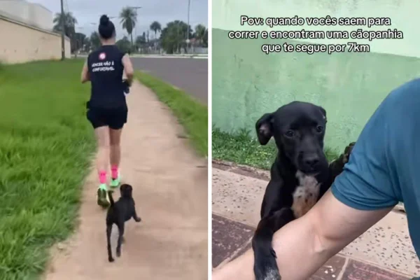 Vira-lata segue casal por 7 km em corrida e acaba sendo adotada