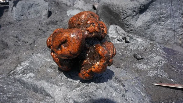 Pedra rara encontrada dentro de baleia vale R$ 2,6 milhões
