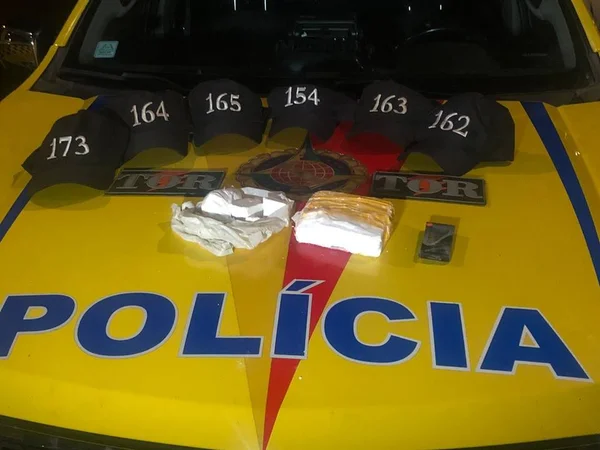 DF: cão farejador encontra 1,5k g de cocaína pura em ônibus na BR-060