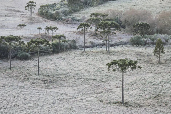 Imagem colorida de neve em Santa Catarina - Metrópoles
