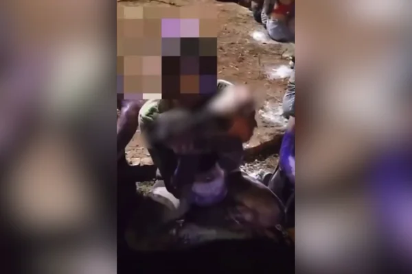 Imagem colorida de calouros beijando cabeça de porco em trote universitário. Metrópoles