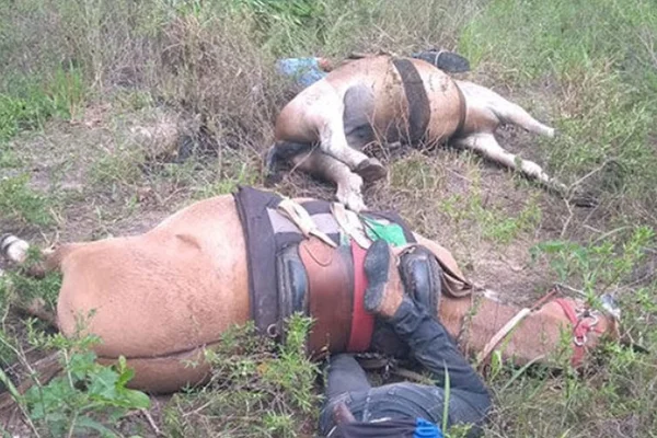 Funcionários de fazenda e cavalos morrem eletrocutados no Pará