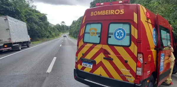 Pedestre tenta salvar cachorro e é atropelado por caminhão no Paraná
