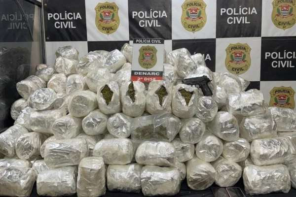 A polícia descobriu um esquema de transporte de drogas da Bahia para São Paulo. Mais de 200 pacotes com a “super maconha” foram localizados - Metrópoles