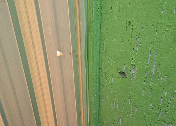 Buraco em porta sanfonada bege e parede verde provocada por tiro