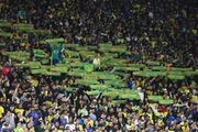 Movimento Verde-Amarelo