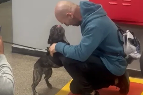 Homem careca com moletom de manga comprida azul claro, calça jeans preta, abraça bulldog preta - Metrópoles