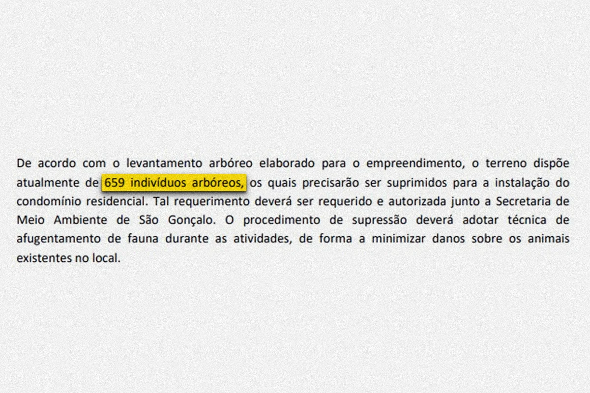 Estudo de impacto mostra a derrubada de 659 árvores Estudo de impacto mostra a derrubada de 659 árvores
