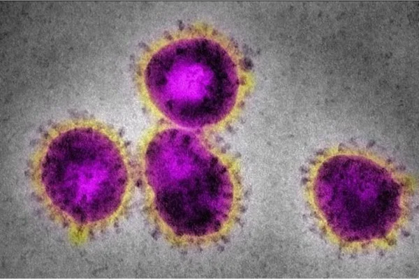 Nova variante desconhecida da Covid-19 é detectada em Israel