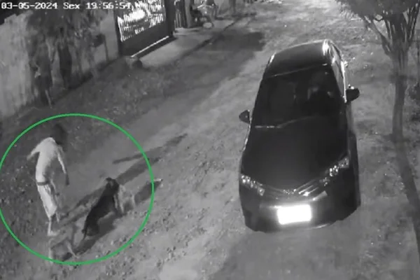 Por meio do vídeo é possível ver que o tutor da cadela tenta evitar o ataque - Metrópoles
