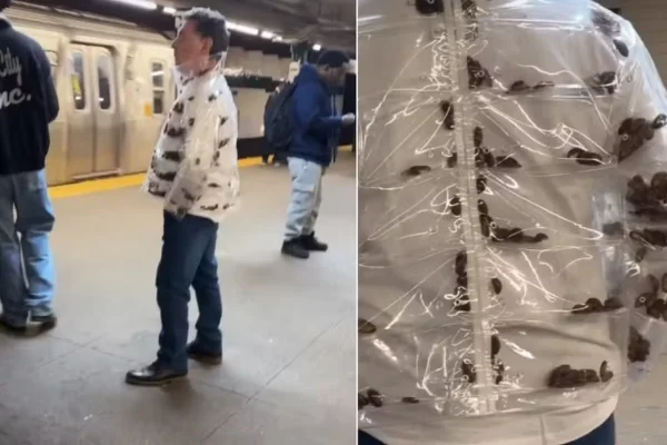 Homem é visto usando casaco repleto de baratas no metrô nos Estados Unidos - Metrópoles