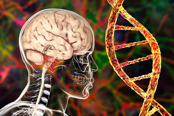 Ilustração colorida. Esqueleto ao lado de um DNA