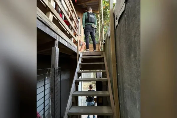 Médicos falsificava atestados em Santa Catarina