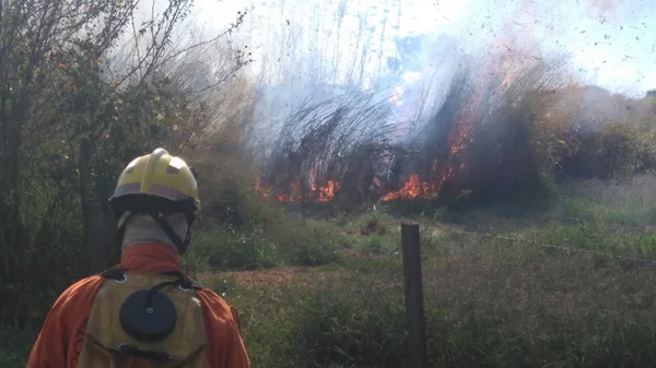 DF registra o dia de julho mais quente dos últimos 55 anos