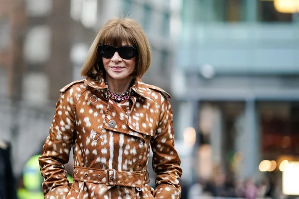 ONG leiloa almoço com Anna Wintour em prol da causa LGBTQ